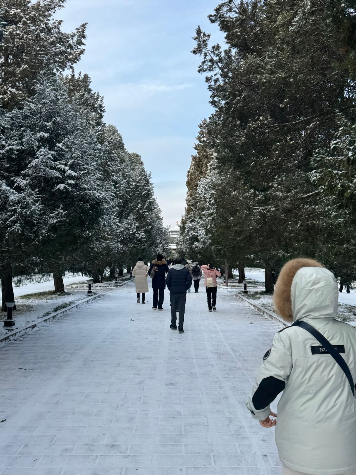 冬天和朋友去看雪